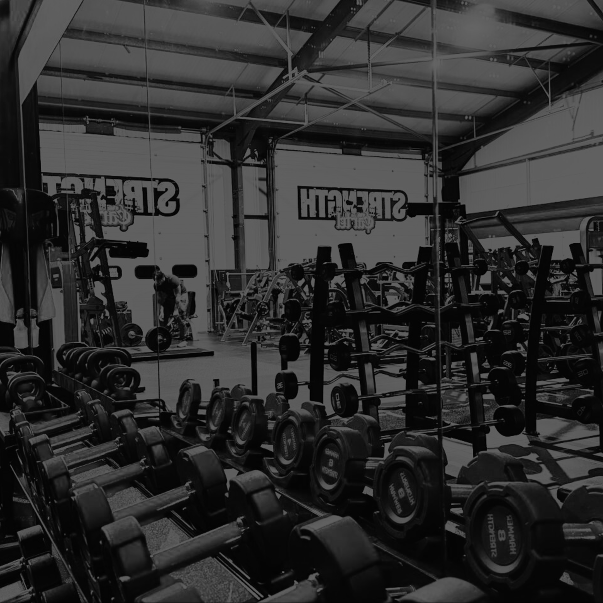 Strength Cartel Egremont